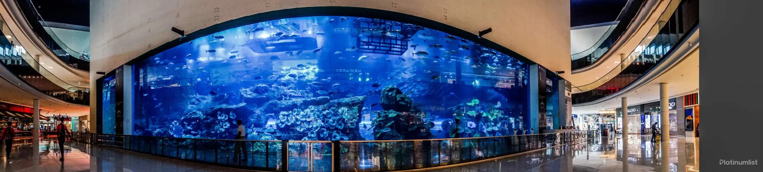 IMG Park + Dubai Aquarium – Combo - Image 5